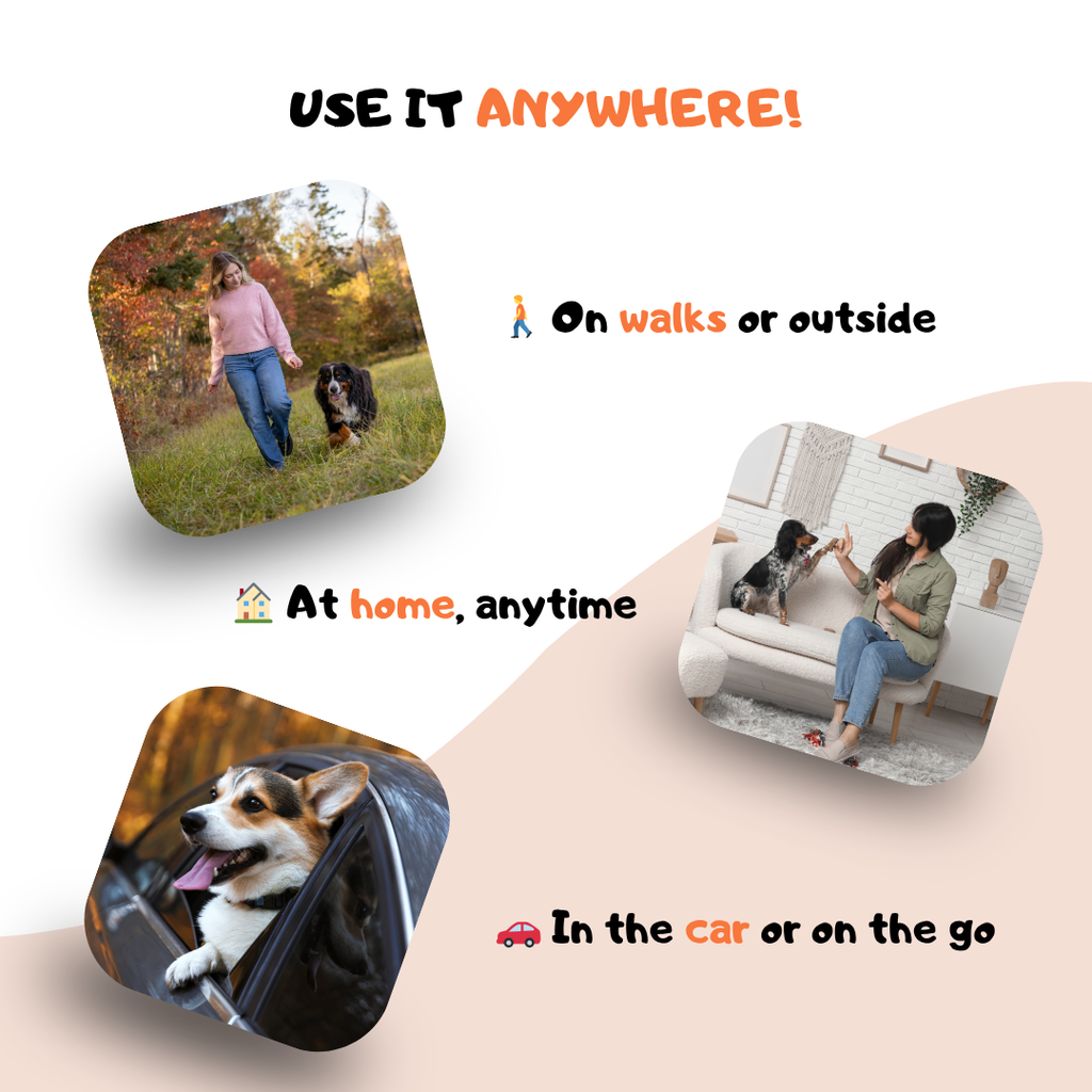 Pawtrol™ – End Excessive Barking Without Hurting Your Dog